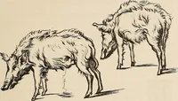 An illustration from Gazette des beaux-arts (1859)
