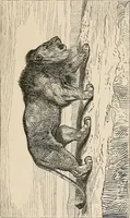 An illustration from Gazette des beaux-arts (1859)