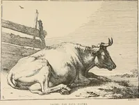 Picture 57 of 141 from Gazette des beaux-arts (1859), leaf 253