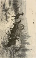 An illustration from Gazette des beaux-arts (1859)