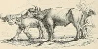 An illustration from Gazette des beaux-arts (1859)