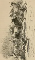 An illustration from Gazette des beaux-arts (1859)