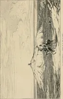 An illustration from Gazette des beaux-arts (1859)