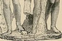 Picture 72 of 121 from Gazette des beaux-arts (1859), leaf 318