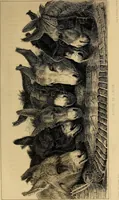 An illustration from Gazette des beaux-arts (1859)