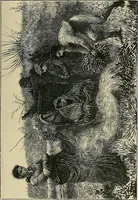 An illustration from Gazette des beaux-arts (1859)