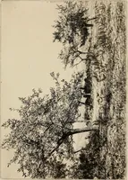 An illustration from Gazette des beaux-arts (1859)