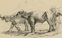 An illustration from Gazette des beaux-arts (1859)