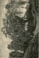 Picture 112 of 125 from Gazette des beaux-arts (1859), leaf 545