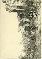An illustration from Gazette des beaux-arts (1859)