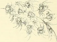 An illustration from Gazette des beaux-arts (1859)