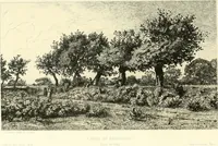 Picture 12 of 122 from Gazette des beaux-arts (1859), leaf 30