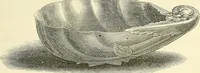 An illustration from Gazette des beaux-arts (1859)