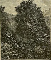 An illustration from Gazette des beaux-arts (1859)