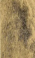 An illustration from Gazette des beaux-arts (1859)