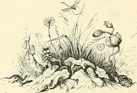 Picture 15 of 144 from Gazette des beaux-arts (1859), leaf 37