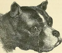 An illustration from Gazette des beaux-arts (1859)