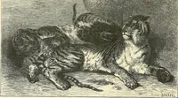 An illustration from Gazette des beaux-arts (1859)