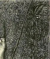An illustration from Gazette des beaux-arts (1859)