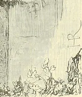 An illustration from Gazette des beaux-arts (1859)