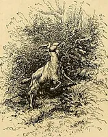 An illustration from Gazette des beaux-arts (1859)