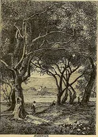An illustration from Gazette des beaux-arts (1859)