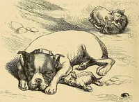An illustration from Gazette des beaux-arts (1859)