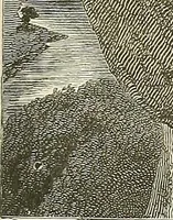 An illustration from Gazette des beaux-arts (1859)