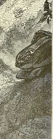 An illustration from Gazette des beaux-arts (1859)