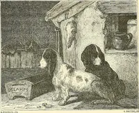 Picture 80 of 235 from Gazette des beaux-arts (1859), leaf 207