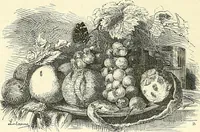 Picture 126 of 235 from Gazette des beaux-arts (1859), leaf 345