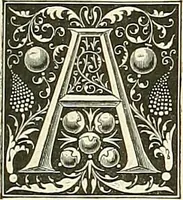 Picture 216 of 235 from Gazette des beaux-arts (1859), leaf 612