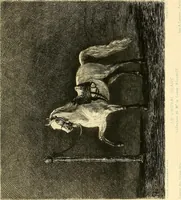 Picture 224 of 235 from Gazette des beaux-arts (1859), leaf 648