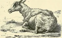 An illustration from Gazette des beaux-arts (1859)