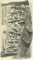 An illustration from Gazette des beaux-arts (1859)
