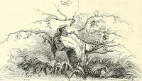 An illustration from Gazette des beaux-arts (1859)