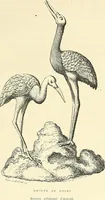 An illustration from Gazette des beaux-arts (1859)