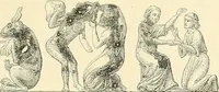 An illustration from Gazette des beaux-arts (1859)