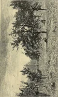 An illustration from Gazette des beaux-arts (1859)