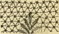 Picture 95 of 268 from Gazette des beaux-arts (1859), leaf 233