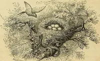 An illustration from Gazette des beaux-arts (1859)