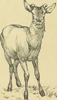 An illustration from Gazette des beaux-arts (1859)