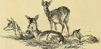 An illustration from Gazette des beaux-arts (1859)