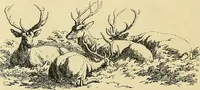 An illustration from Gazette des beaux-arts (1859)