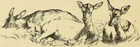 Picture 115 of 268 from Gazette des beaux-arts (1859), leaf 261