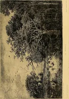 Picture 123 of 268 from Gazette des beaux-arts (1859), leaf 288