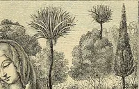 Picture 174 of 268 from Gazette des beaux-arts (1859), leaf 398