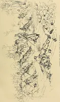 Picture 196 of 268 from Gazette des beaux-arts (1859), leaf 454