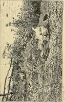 An illustration from Gazette des beaux-arts (1859)