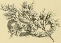 An illustration from Gazette des beaux-arts (1859)